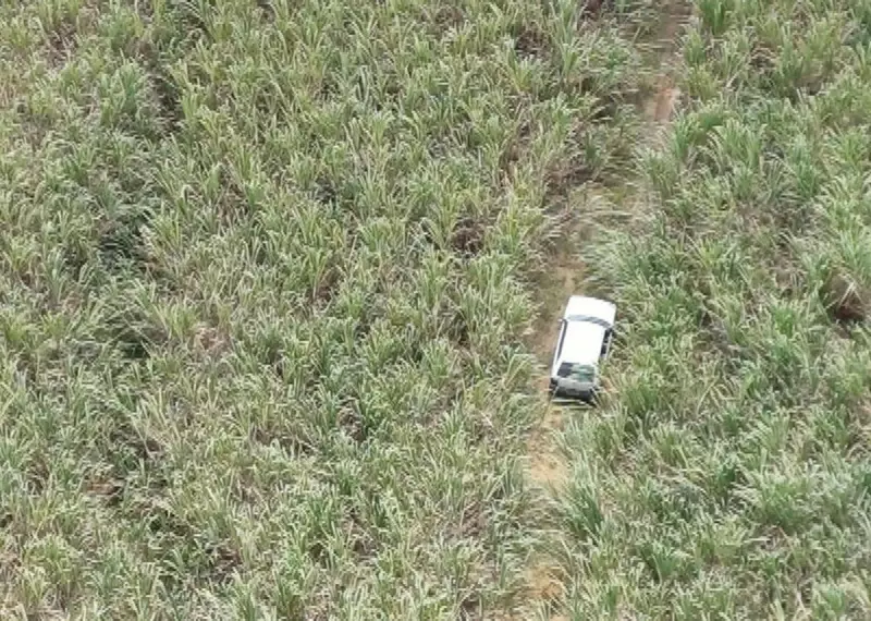 Empresário é Vítima de Sequestro Relâmpago em Primavera: Criminosos Agem em Banda e Exigem Resgate