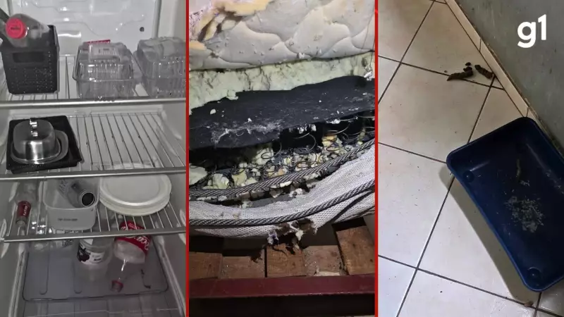 Ex-atriz de TV é resgatada em situação precária com sete animais em Porto Alegre