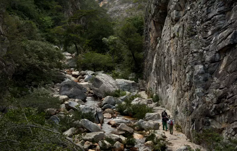 Flagrante no Parque: Homem é detido extraindo cristais ilegalmente em área de preservação em Minas Gerais