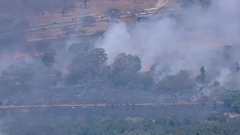 Fogo ameaça Aeroporto de Brasília: veja imagens dramáticas do incêndio que parou a capital
