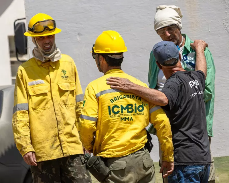 Fogo na Floresta Nacional de Ipanema: Heróis Anônimos se Unem para Salvar Animais em Cena Dantesca