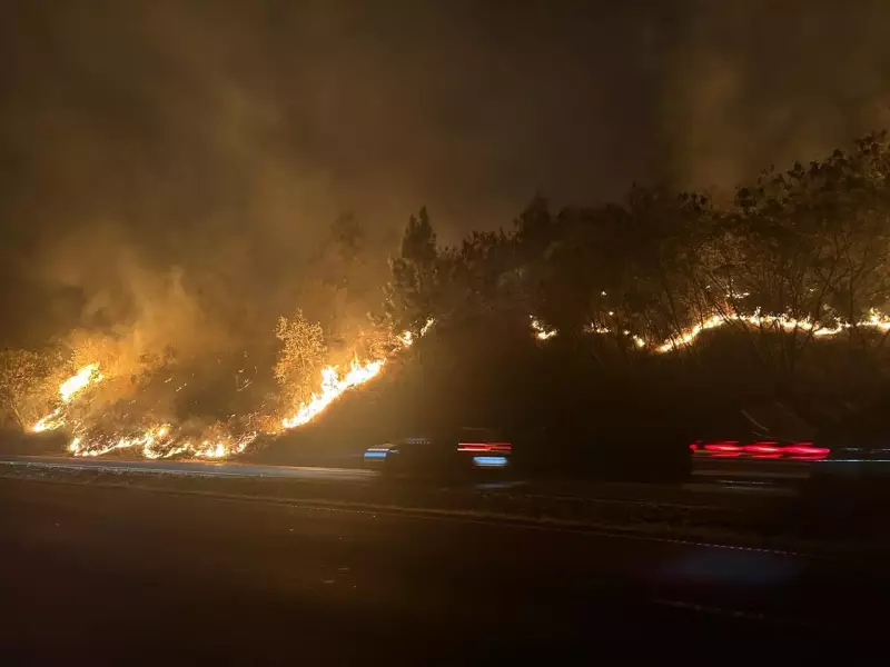 Fogo Toma Conta da SP-304 em Piracicaba: Veja as Imagens Chocantes