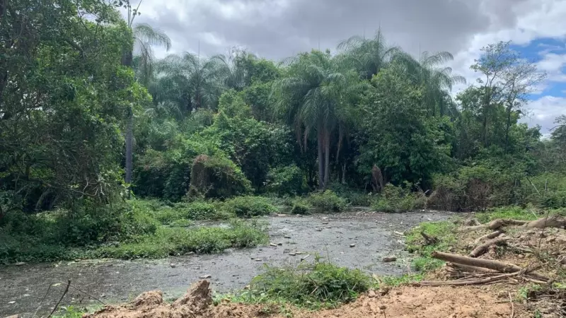 Frigorífico é denunciado por poluir Rio Salgadinho e causar danos ambientais em Juazeiro do Norte