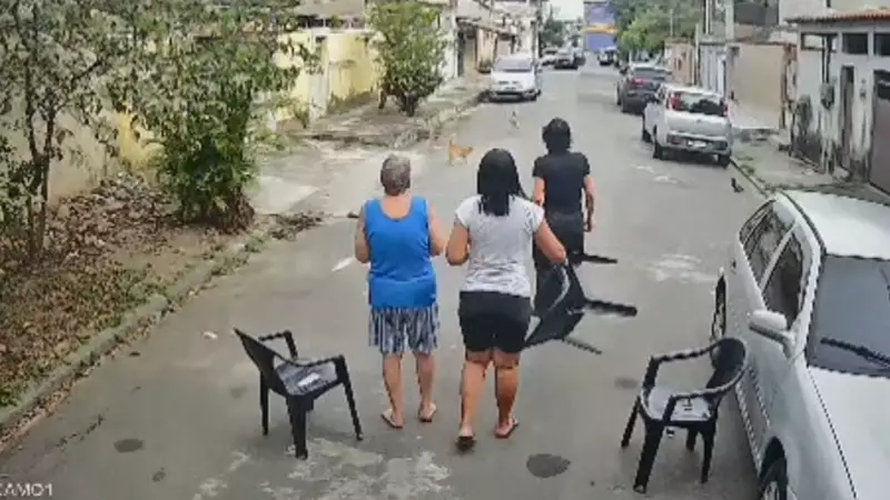 Gato Vira Herói em Nilópolis ao Enfrentar Pitbull para Salvar Idosa de 85 Anos