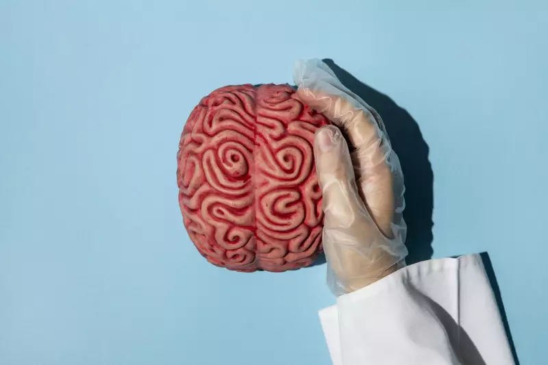 Glioblastoma: Novo Medicamento Aprovado pela Anvisa Oferece Esperança no Tratamento do Câncer Cerebral