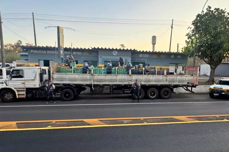 Golpe do Gesso: Polícia desmonta esquema e apreende quase 8 toneladas de maconha escondidas em placas no interior de SP