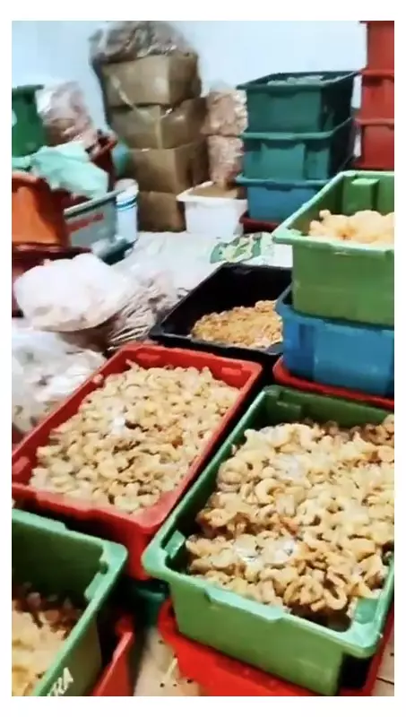 Golpe do Pescado: Cliente Perde R$ 4 Milhões em Fraude que Virou Pesadelo nos Estados de AL e PE