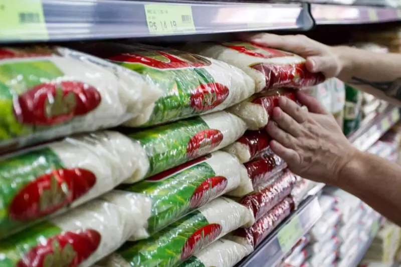 Governo Injeta R$ 300 Milhões nos Produtores de Arroz: Um Alívio para a Safra 2025/2026