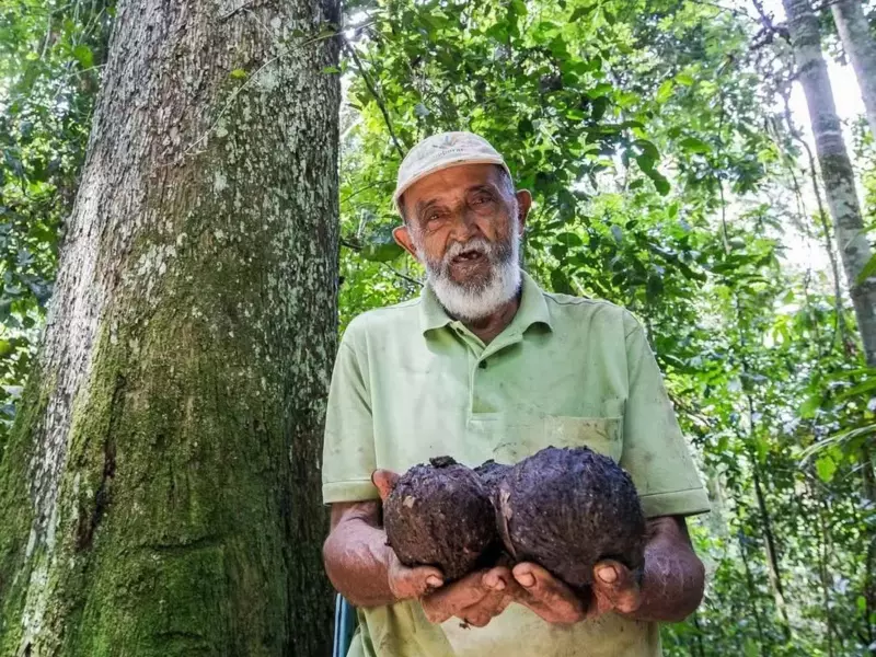 Herdeiro da Luta: Primo de Chico Mendes Enfrenta Infecção Pulmonar Grave no Acre