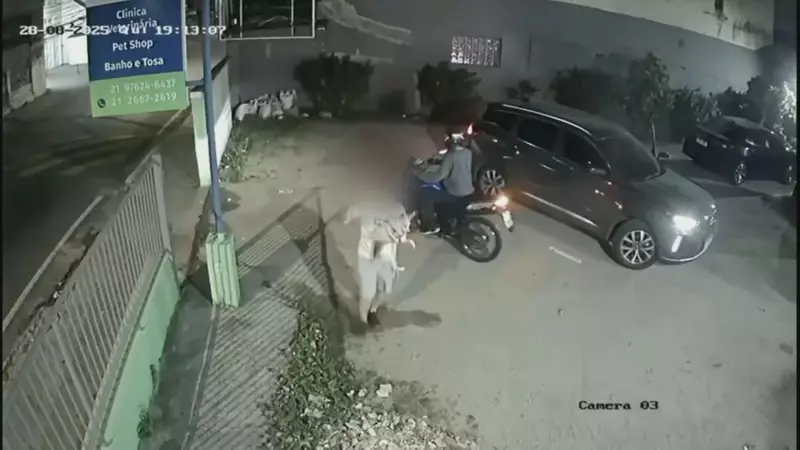 Herói de Quatro Patas: Motorista Entrega Carro, Mas Salva Cachorro de Clínica Veterinária Durante Roubo no Rio