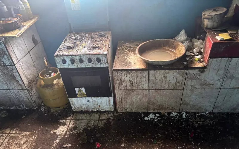 Idoso de 78 anos vive situação insalubre e sofre ameaças em Campestre, MG — veja o resgate