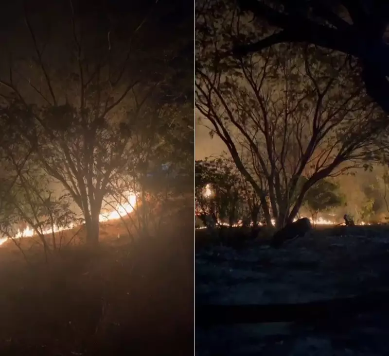 Incêndio de Grandes Proporções Consome Bambuzal em Bauru e Assusta Moradores — Veja Vídeos