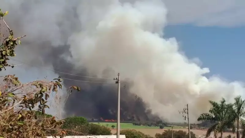 Incêndio de Grandes Proporções Consome Vegetação em Artur Nogueira e Mobiliza Bombeiros