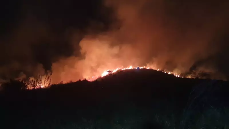 Incêndio de Grandes Proporções Devasta Mata em Taubaté, SP — Veja Imagens Chocantes