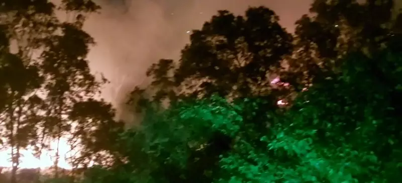 Incêndio de Grandes Proporções Devasta Mata em Valinhos: Veja Vídeos Impressionantes