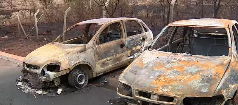 Incêndio de Grandes Proporções em Santa Bárbara d'Oeste: Fogo Consome Veículos e 350 Mil m² de Vegetação