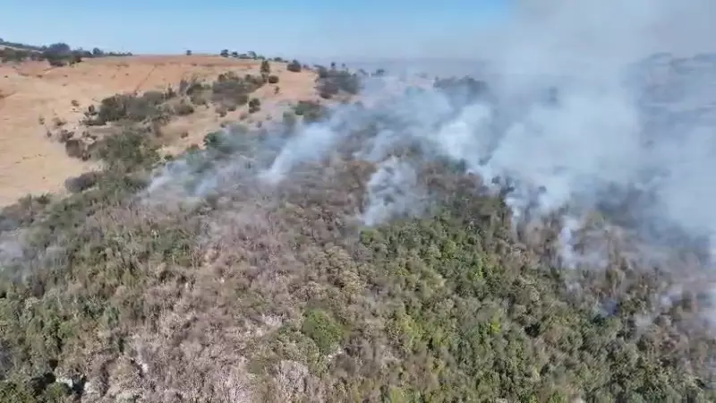 Incêndio em Socorro: Fogo Consome Área de Preservação e Mobiliza Bombeiros em Operação de Emergência