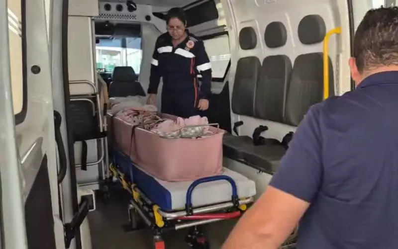 Milagre da Medicina: Gêmeas Siamesas Cranianas Recebem Alta Após Cirurgia Histórica em Ribeirão Preto