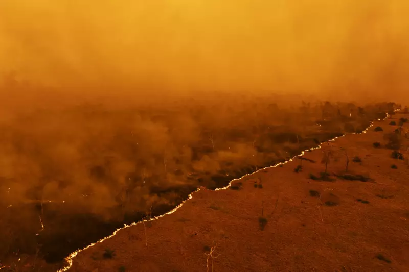 Pantanal em Alerta: Câmara Aprova Lei Histórica de Conservação do Bioma - Entenda os Impactos