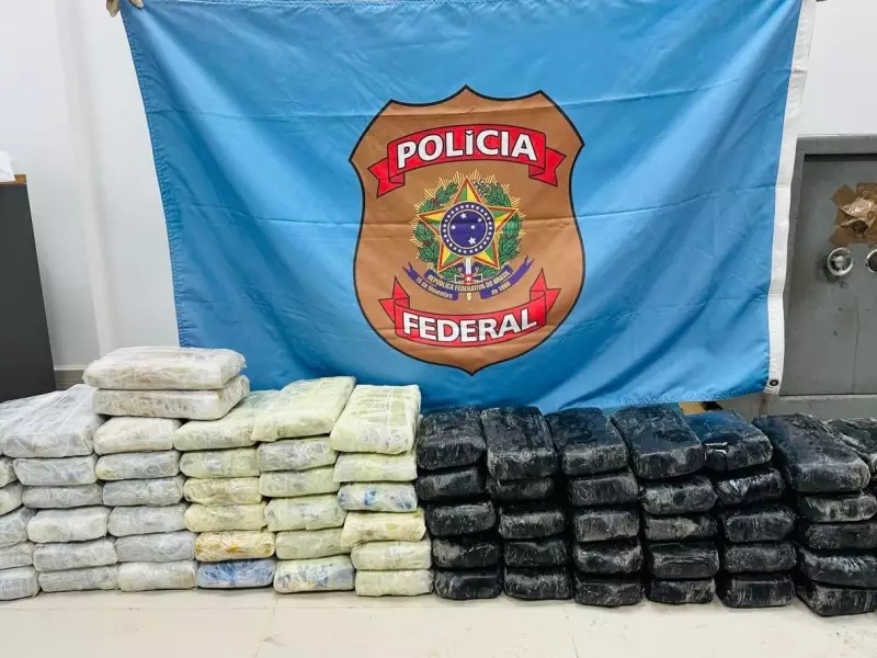 PF Desmonta Esquema: 90 kg de Cocaína em Navio de Gado com Destino ao Oriente Médio no Pará