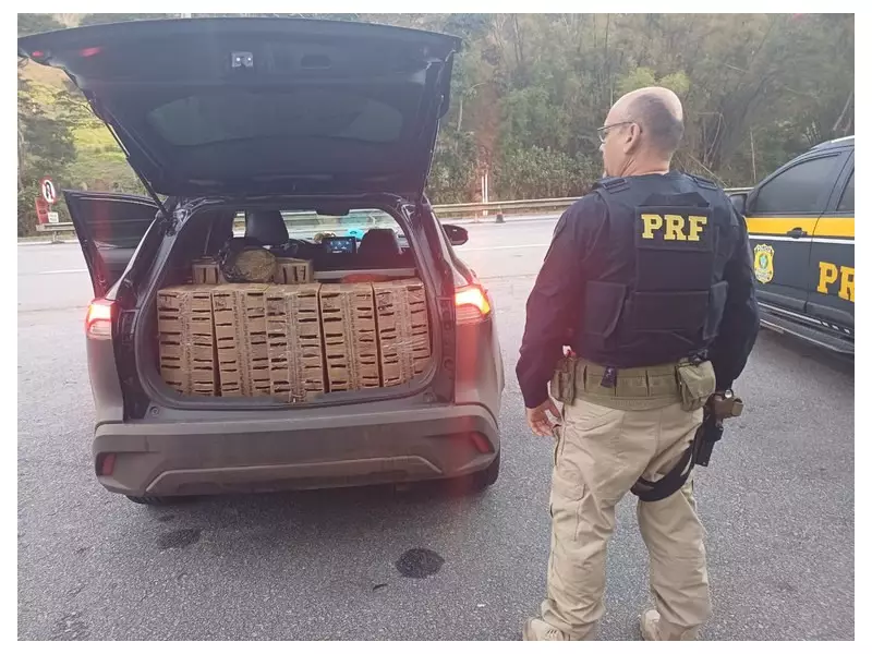 PRF desmantela esquema criminoso e salva 260 aves silvestres em operação surpresa em Três Rios