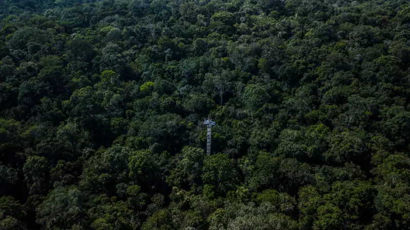 Projeto Floresta Amazônia Amplia Frente de Combate ao Desmatamento com Novos Escritórios Regionais