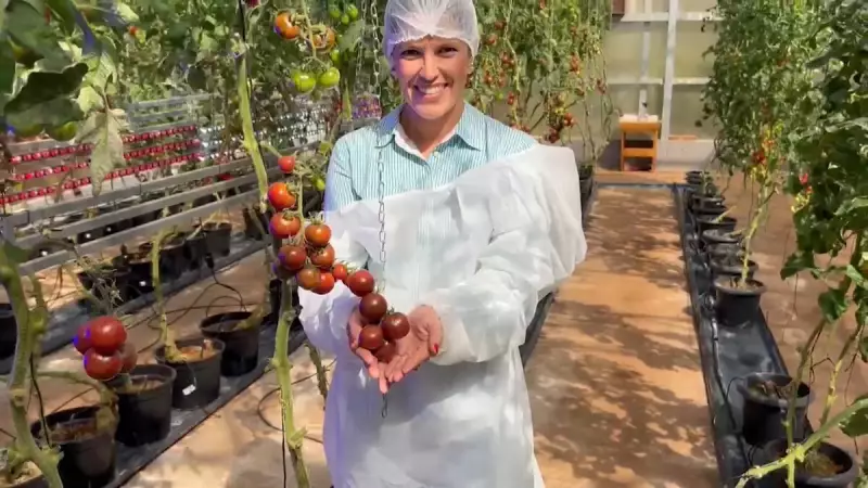 Rota do Agro: Goiás Revoluciona Escoamento com Projeto que Une Cidade e Campo