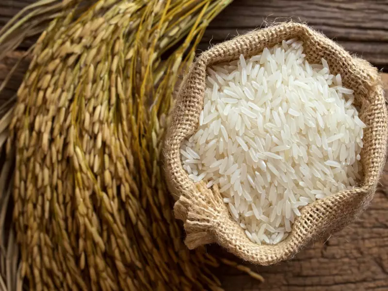 Santa Catarina Elimina ICMS de Arroz, Feijão e Farinhas: Alívio Imediato no Bolso do Consumidor