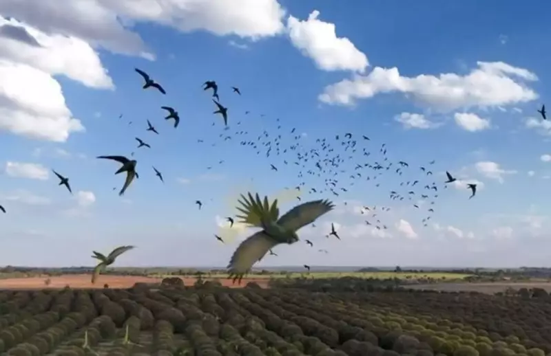 Sinfonia Caótica: Como Buzinas e Tambores Salvam as Jabuticabeiras de São Carlos dos Bravos Maritacas