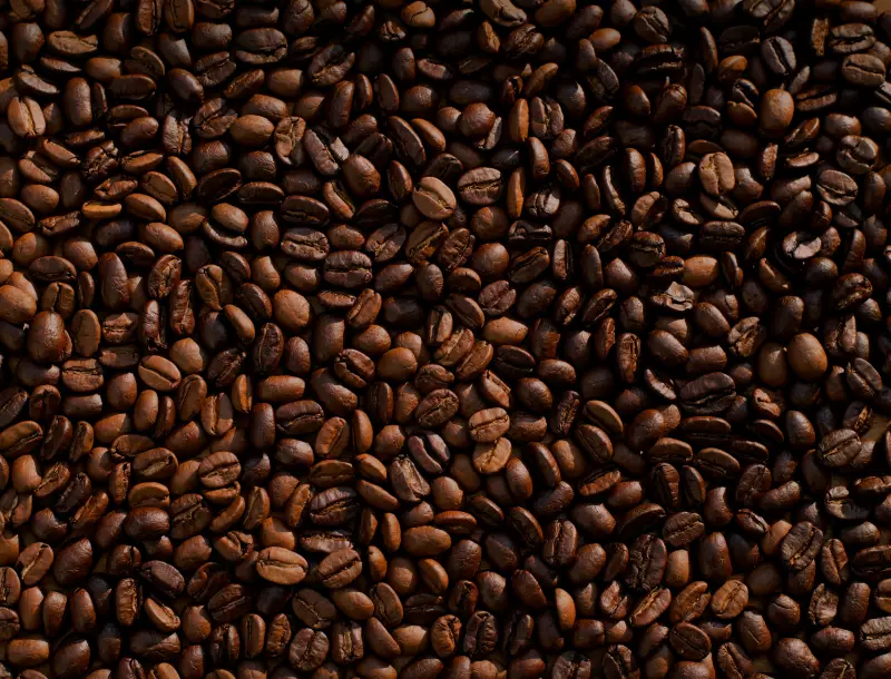 Tarifaço no Café Brasileiro: Exportadores Alertam para Inflação e Aumento de Preços nos EUA