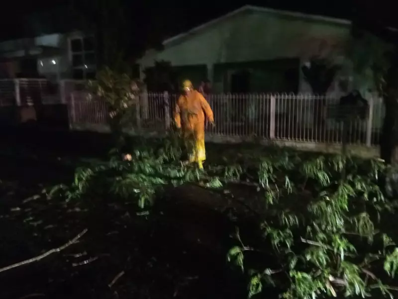 Temporal em SC Vira Pesadelo: Telhados Voam, Ruas Viram Rios e Ponte Some Sob as Águas