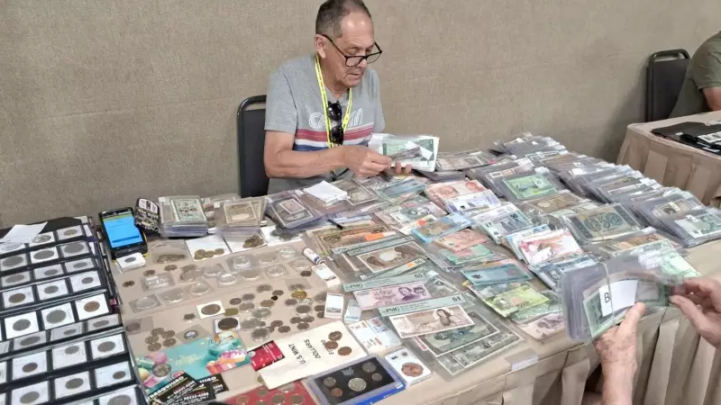 Tesouros Numismáticos: Fortaleza Sedia Exposição de Moedas e Cédulas Raras para Colecionadores