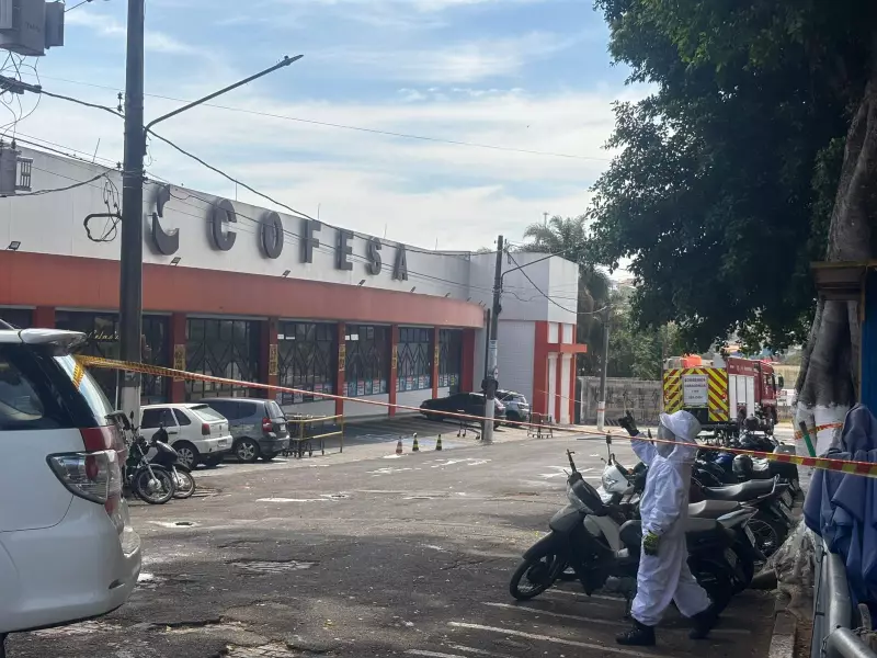 Tragédia em Itapetininga: Idoso Morre Atacado por Abelhas ao Comprar Bolo de Aniversário