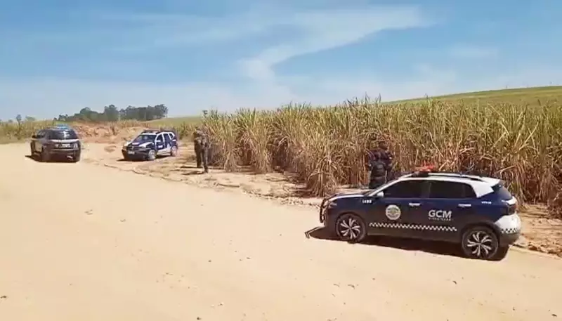 Tragédia em Piracicaba: Jovem é Vítima de Homicídio e Corpo é Encontrado em Canavial