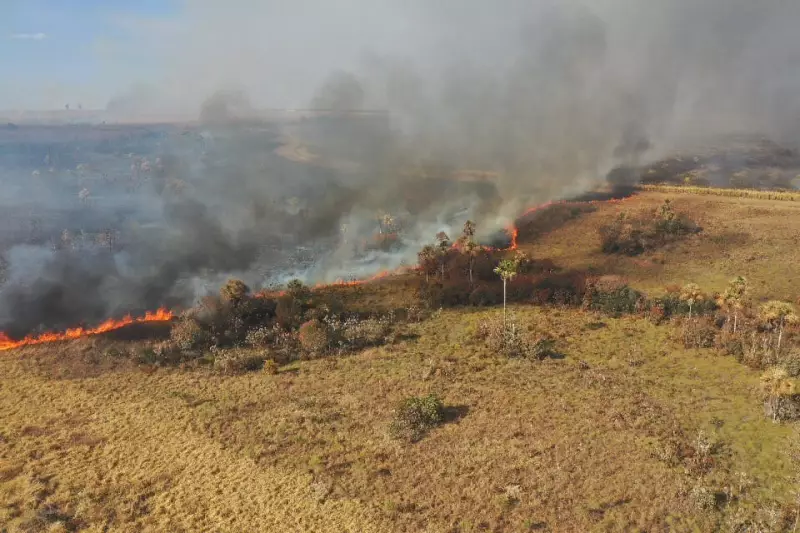 Triângulo Mineiro em Chamas: Áreas Queimadas Disparam 124% e Rodovias Ganham Alerta 24h Contra Incêndios