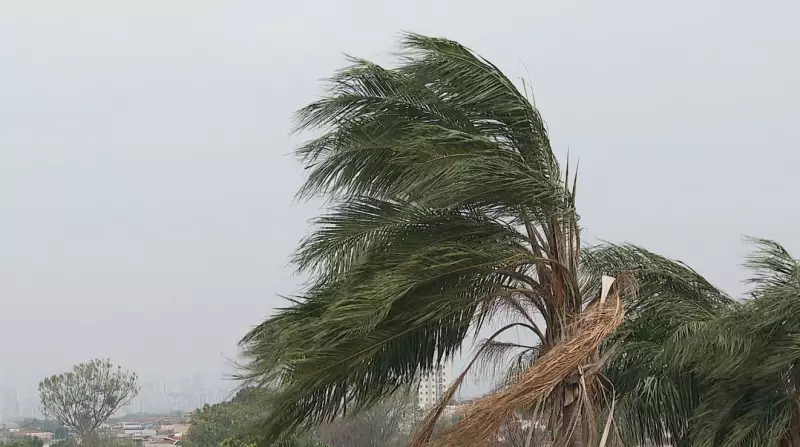 Ventos de 60 km/h e chuva forte castigam Pradópolis e região de Ribeirão Preto