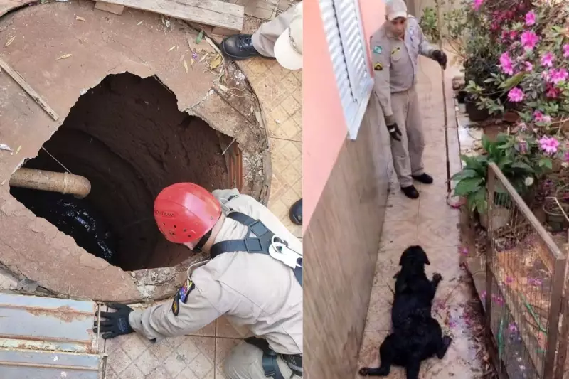 VÍDEO: Bombeiros Realizam Resgate Comovente de Cachorra em Ação Heróica no Paraná