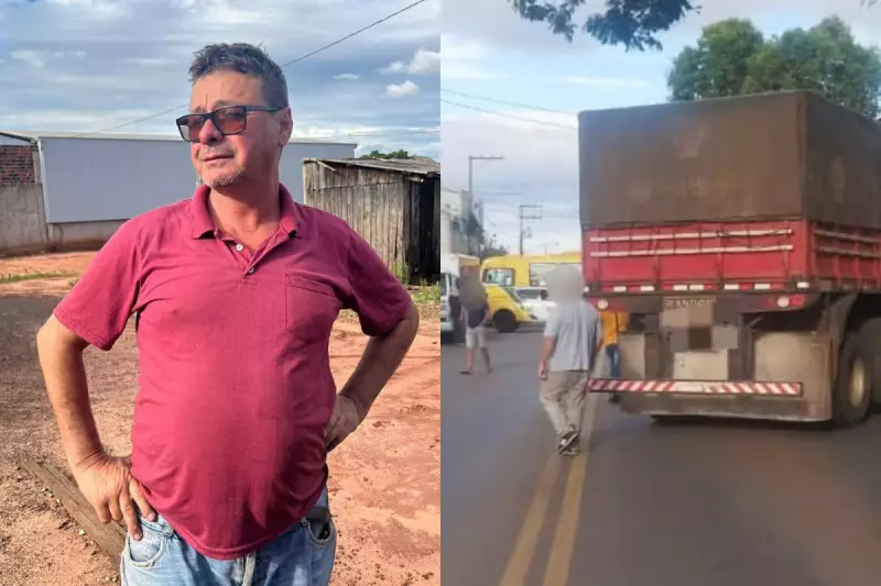 Abelha pica caminhoneiro no Paraná: corrida contra o tempo para salvar uma vida