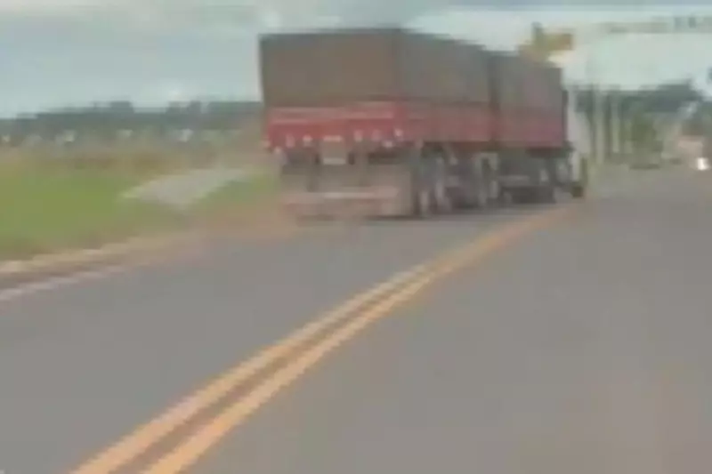 Abelha Pica Motorista e Causa Acidente com Caminhão no PR; Veja o Vídeo Chocante