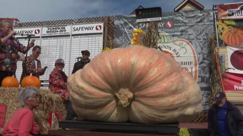 Abóbora Gigante de SC Pesa Mais de 1 Tonelada e Conquista o Mundo em Competição