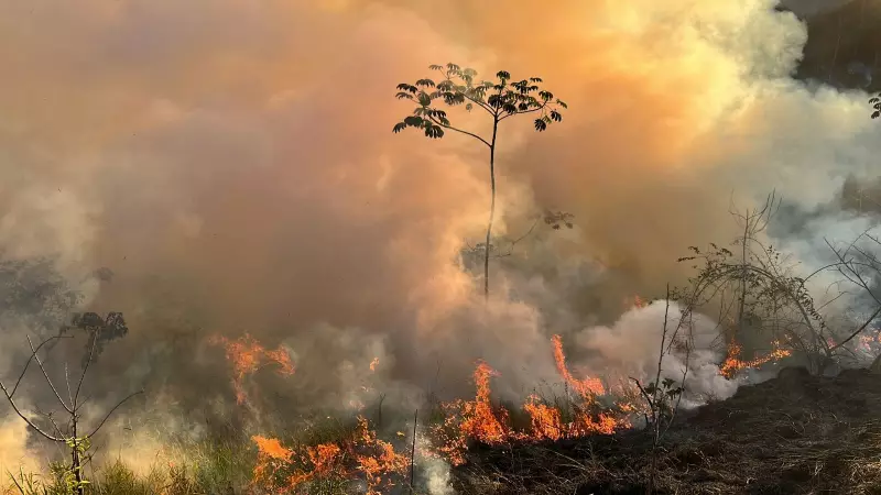 Alerta Máximo no Vale do Paraíba: Defesa Civil Soa o Sino Contra Risco Iminente de Incêndios