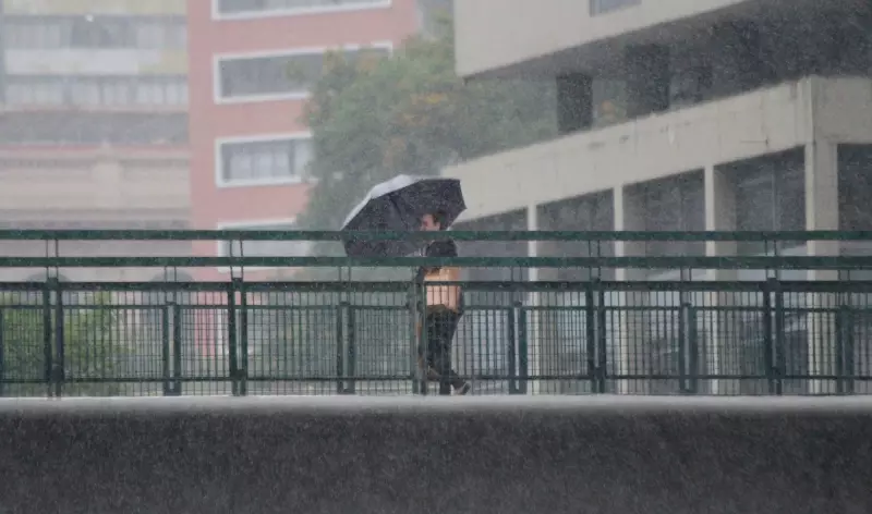 Alerta máximo: São Paulo em estado de atenção com previsão de tempestade e ventos de até 60 km/h