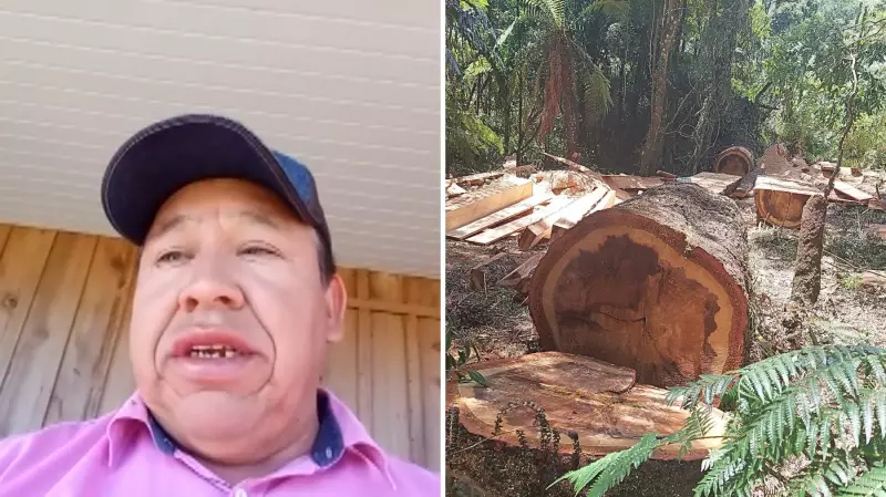 Alerta na Mata Atlântica: Terra Indígena no Paraná entra para lista negra do desmatamento