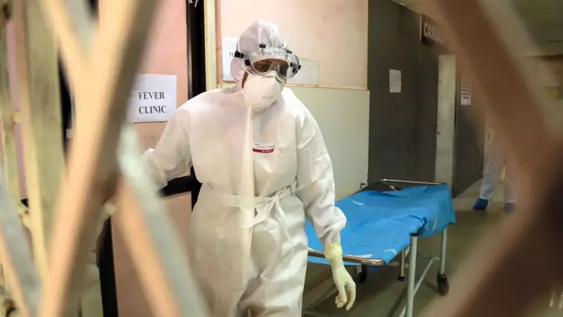 Alerta sanitário: jovem morre após contato com animal infectado por vírus raro