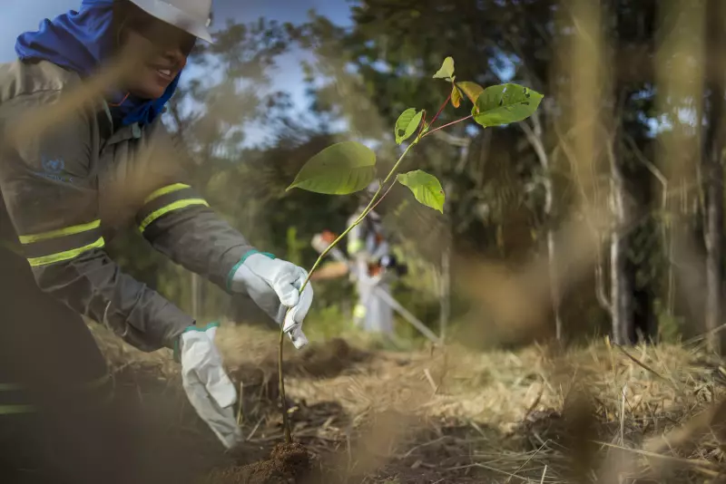 Anglo American investe em projetos inovadores para proteger fauna e flora brasileiras