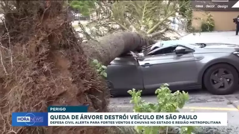 Árvore Desaba Sobre Carro em São Paulo: Veja o Momento de Susto e a Sorte Inacreditável do Motorista