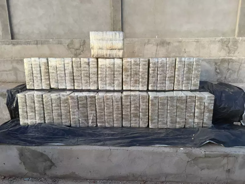 BA: Suspeito de Transportar Cocaína em Caminhão Encontrado Morto em Operação Policial