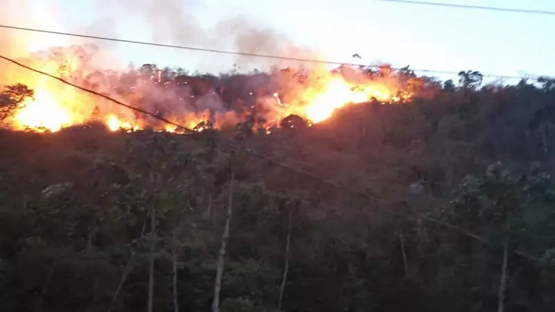 Balão cai e provoca incêndio florestal em Juiz de Fora; bombeiros combatem as chamas