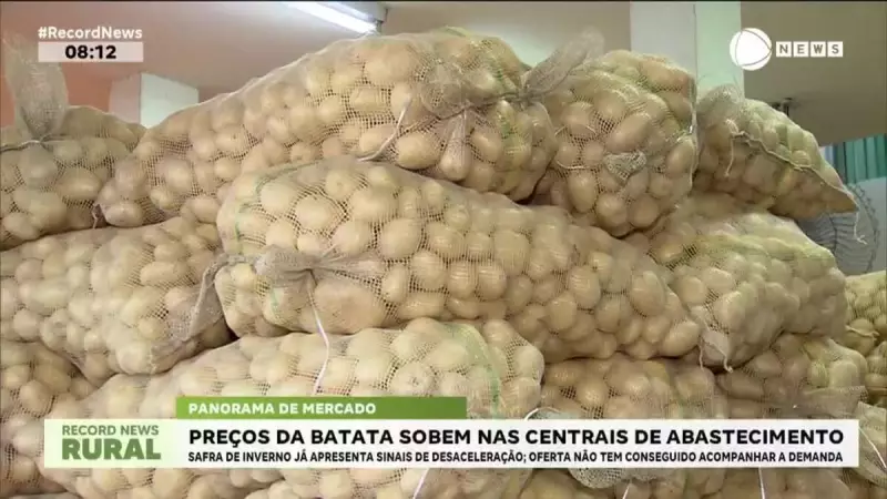 Batata Bate Recorde de Preço nas Centrais de Abastecimento: Entenda o Que Está por Trás Dessa Escalada