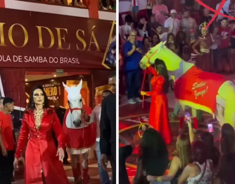 Baterista Leva Cavalo para Ensaio de Carnaval e Gera Polêmica nas Redes — Veja o Vídeo!